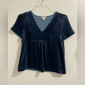 Sundance Velvet V-Neck Short Sleeve Top in Deep Blue